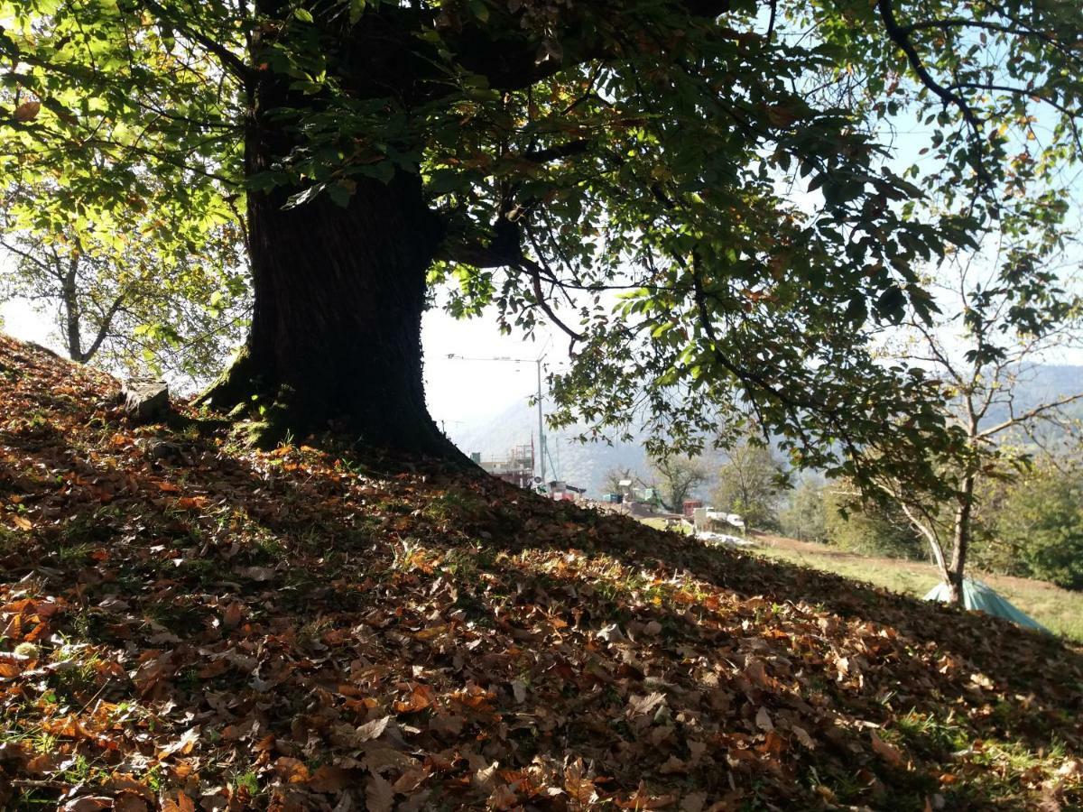 Agriturismo Piane Ono Degno Dış mekan fotoğraf